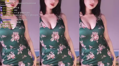 2025-05-29_04-26-27 – auddk_77 – BJ 명아츄-秀人集