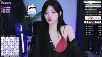 2025-07-04_04-56-14 – tildaaa – BJ 박틸다-秀人集