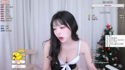 korean BJ 2025-01-10_01-03-59 – wjdwlsdud91 – BJ wjdwlsdud91-秀人集