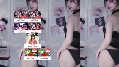 korean BJ 유혜디 cinnamoroll 23-05-25 – BJ 유혜디-秀人集