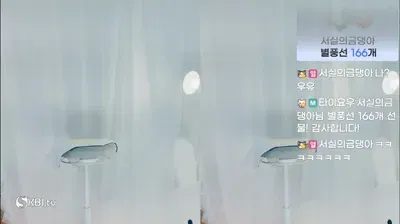 2025-07-20_06-18-42 – seosils2 – BJ 서실♡-秀人集