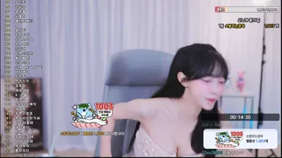 2025-08-17_06-38-36 – pms999 – BJ 미숑.♥-秀人集