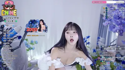 skbj 2025-08-21_03-51-12 - yunyeson3015 - BJ 애순이-秀人集