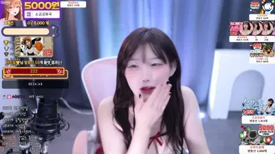 2025-09-28_06-02-54 – ddodohee – BJ 소금[♥]-秀人集
