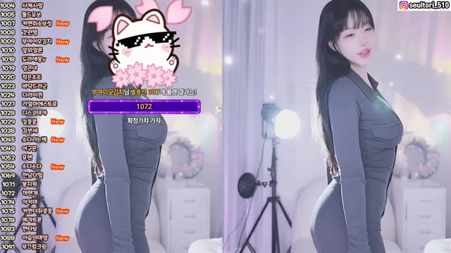 [Korean BJ] dasl8121 2025-04-27-秀人集
