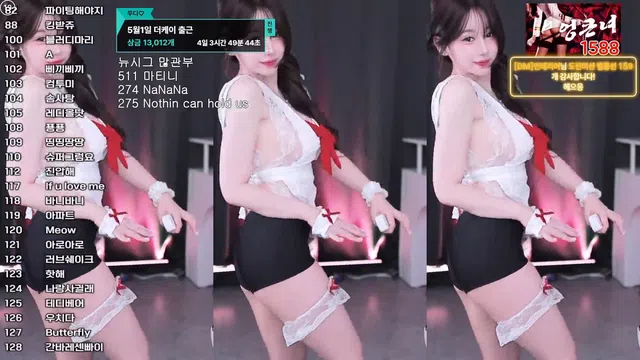 [Korean BJ] duswn8243 2025-04-29-秀人集