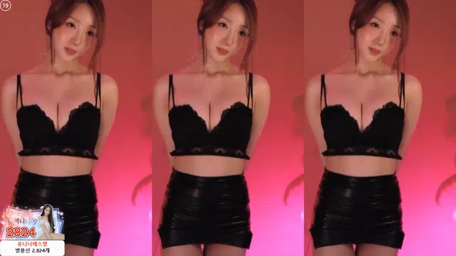 [Korean BJ] dlsgk1763 2025-06-19-秀人集