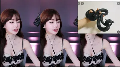 2025-11-13_01-54-56 – m0m099 – BJ 과즙세연-秀人集