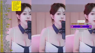 2025-11-16_19-20-30 – crazycatsss – BJ 재희。-秀人集