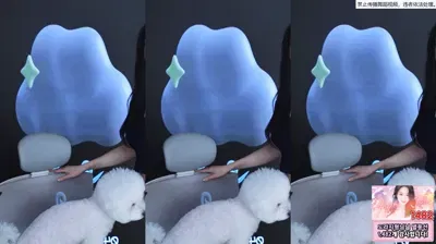 2025-11-17_05-11-38 – glglehddl – BJ 타미미♥-秀人集