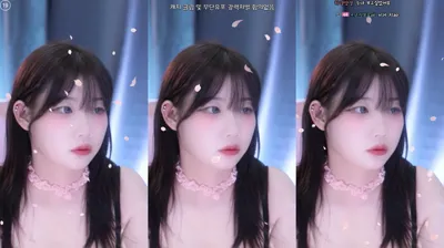 2025-11-21_04-48-53 – ddodohee – BJ 소금[♥]-秀人集