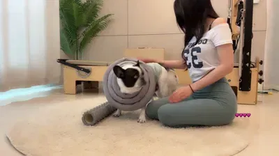 2025-11-26_19-18-27 – tildaaa – BJ 박틸다-秀人集