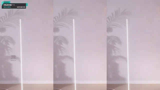 [Korean BJ] leelate 2025-08-16-秀人集