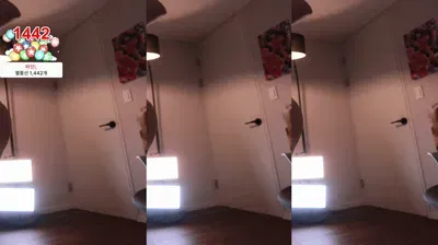 2025-12-06_02-02-43 - anfdksrud96 - BJ 신나린-秀人集