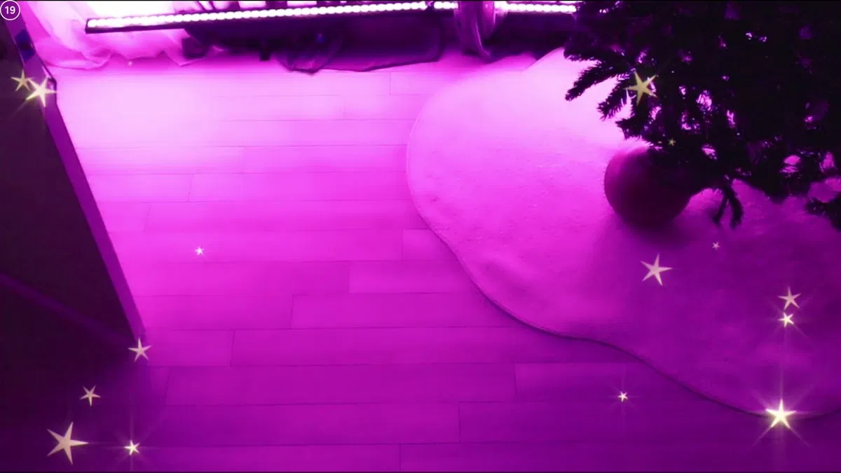 2026-01-03_03-09-52 – bks1004-秀人集