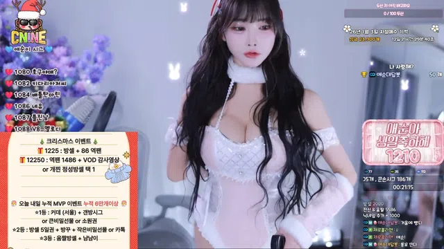 [Korean BJ] yunyeson3015 2025-12-25-秀人集