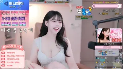 2025-12-31_04-00-40 – hanny27-秀人集