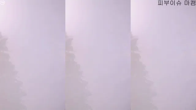 [Korean BJ] leelate 2026-01-02-秀人集