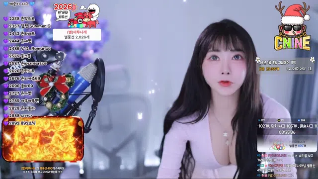 [Korean BJ] yunyeson3015 2026-01-01-秀人集